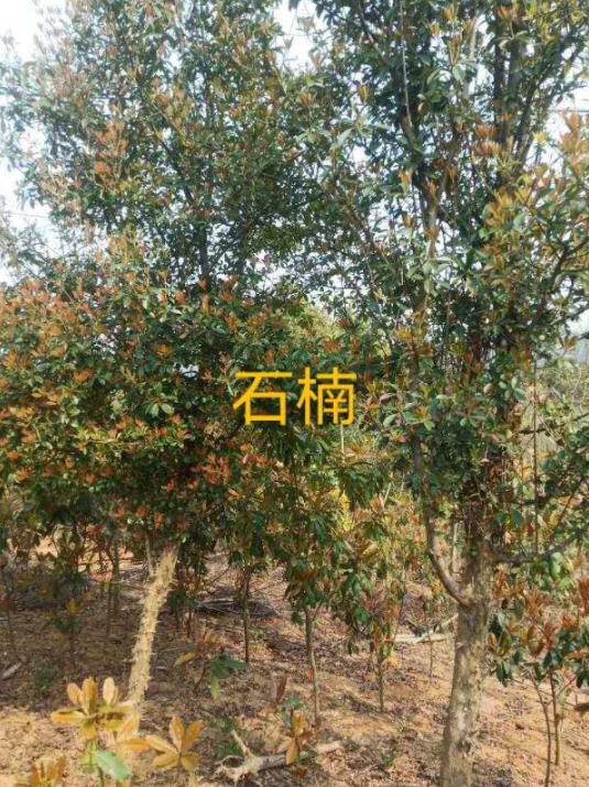 1592277678925977.png image.png