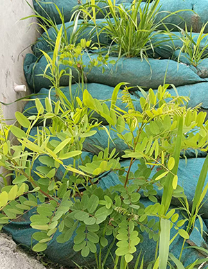 1769500734400363.jpg 5.jpg