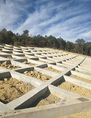 1775814091586479.jpg 22.jpg