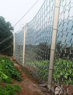 1775814208356653.jpg 36.jpg