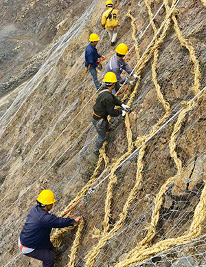 1775814219666898.jpg 工程8.jpg