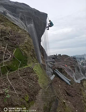 1775814491431343.jpg 49.jpg